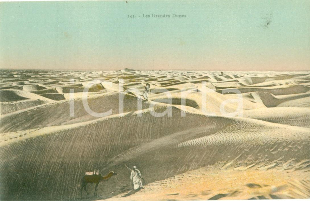 Cartolina originale da collezione 1940 ca DESERTO DEL SAHARA Beduini sulle grandi dune Cartolina FP NV 1