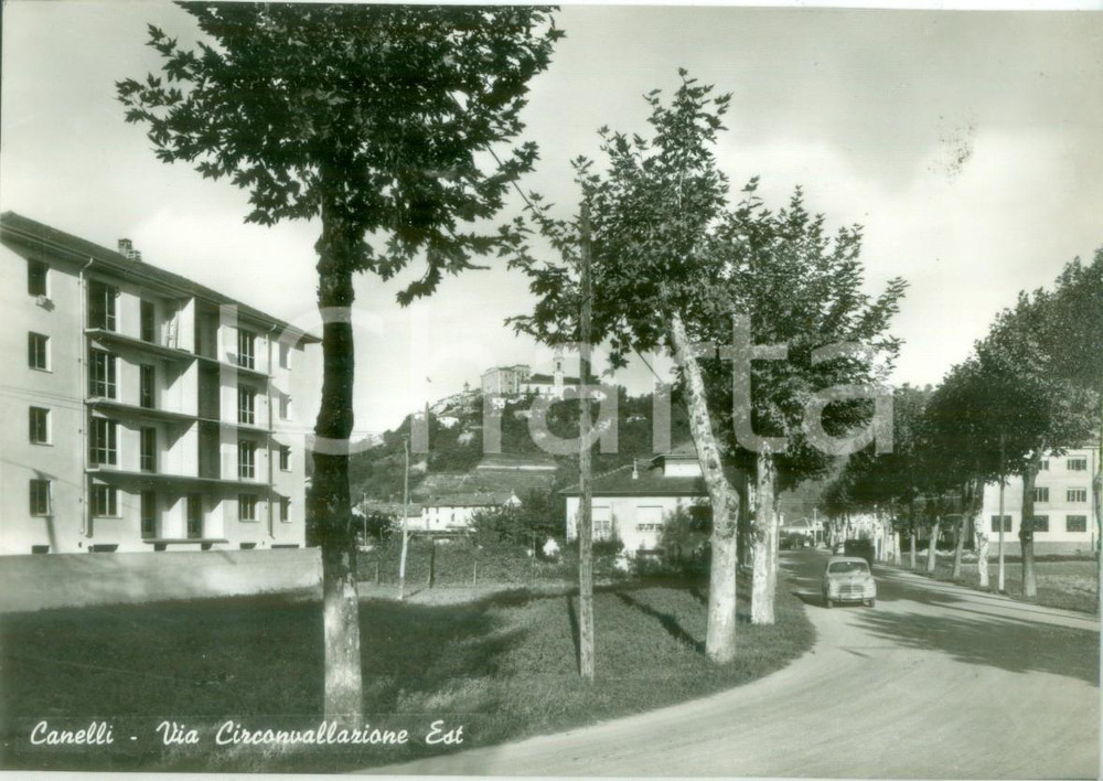 Cartolina originale da collezione 1955 ca CANELLI AT Veduta della Via Circonvallazione Est Cartolina FG NV 1