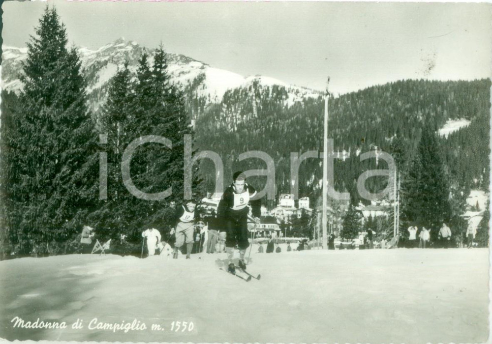 Cartolina originale da collezione 1967 MADONNA DI CAMPIGLIO TN Sciatori in gara Cartolina FG VG 1