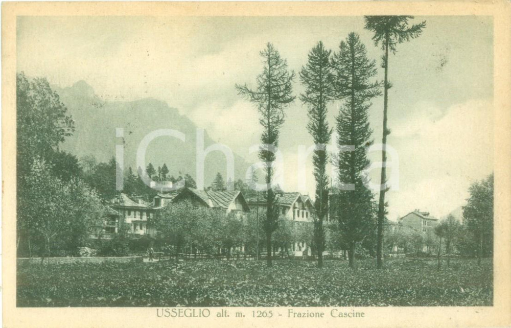 Cartolina originale da collezione 1931 USSEGLIO TO Panorama della frazione CASCINE Cartolina FP VG 1