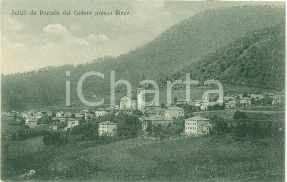 Cartolina originale da collezione 1935 ca PIEVE DI CADORE BL Panorama della frazione POZZALE Cartolina FP NV 1