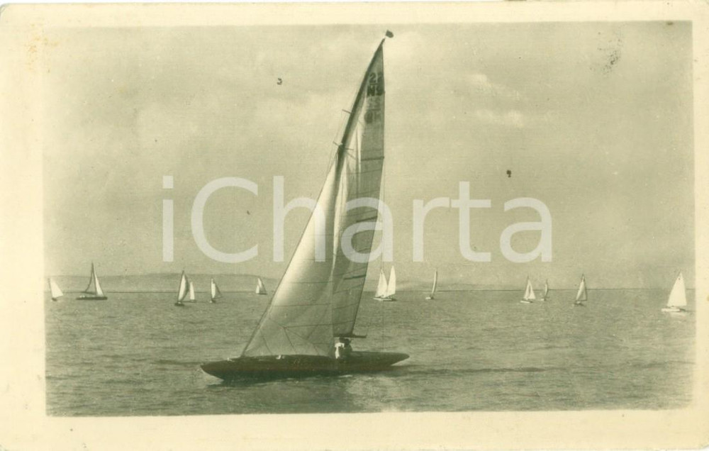 Cartolina originale da collezione 1956 UNGHERIA Barche a vela sul lago BALATON Cartolina FP VG 1