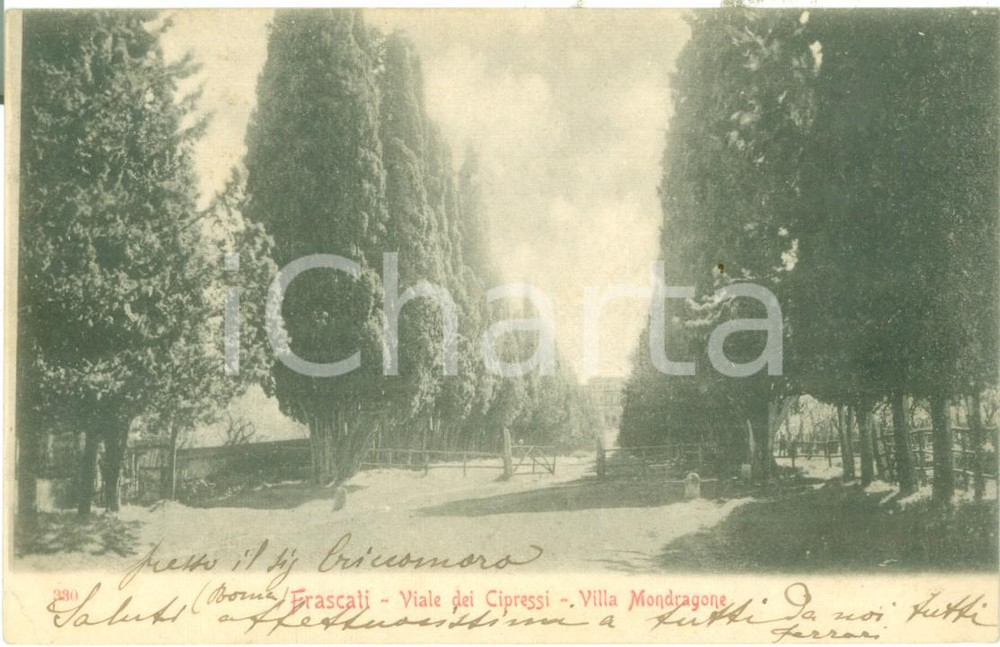 Cartolina originale da collezione 1900 ca FRASCATI RM Viale dei Cipressi Villa MONDRAGONE Cartolina FP VG 1