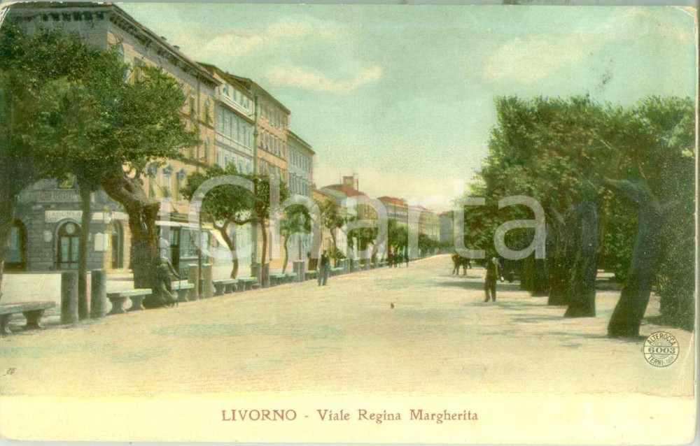 Cartolina originale da collezione 1915 LIVORNO Viale Regina Margherita Cartolina postale FP VG 1