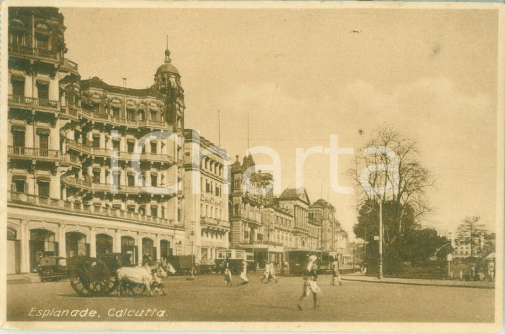Cartolina originale da collezione 1938 CALCUTTA INDIA Carro trainato da buoi sull Esplanade Cartolina FP VG 1