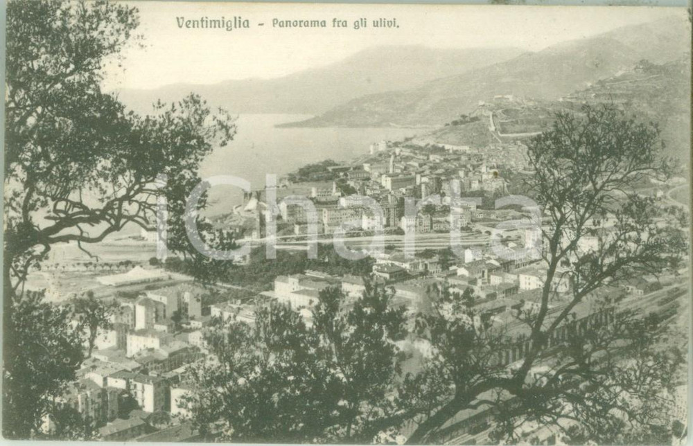 Cartolina originale da collezione 1920 VENTIMIGLIA IM Panorama fra gli uliviCartolina postale FP VG 1