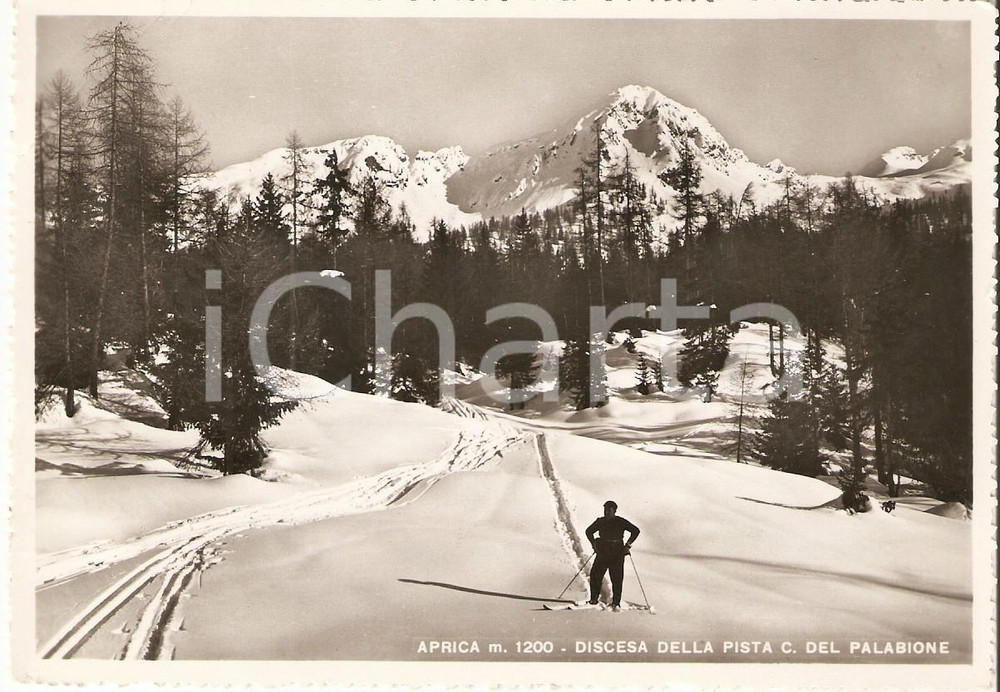 Cartolina originale da collezione 1954 APRICA SO Discesa della pista Cima del Monte PALABIONE Cartolina FG VG 1