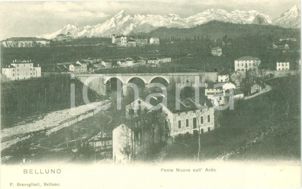 Cartolina originale da collezione 1900 ca BELLUNO Veduta del Ponte Nuovo sull ARDO Cartolina FP NV 1