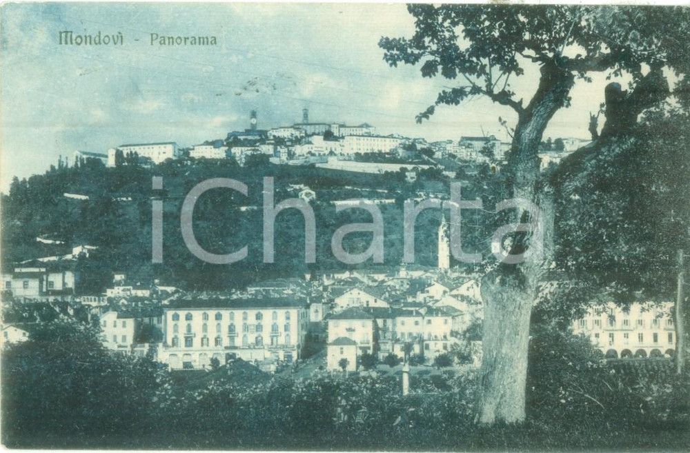Cartolina originale da collezione 1919 MONDOVI  CN Panorama generale del paese Cartolina postale FP VG 1