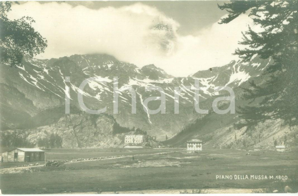 Cartolina originale da collezione 1930 ca PIAN DELLA MUSSA TO Panorama della valle Cartolina FP NV 1