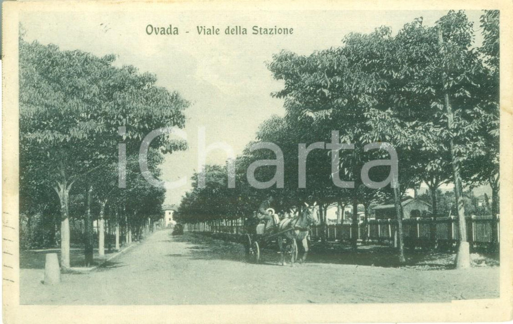 Cartolina originale da collezione 1926 OVADA AL Carrozza sul Viale della Stazione Cartolina FP VG 1