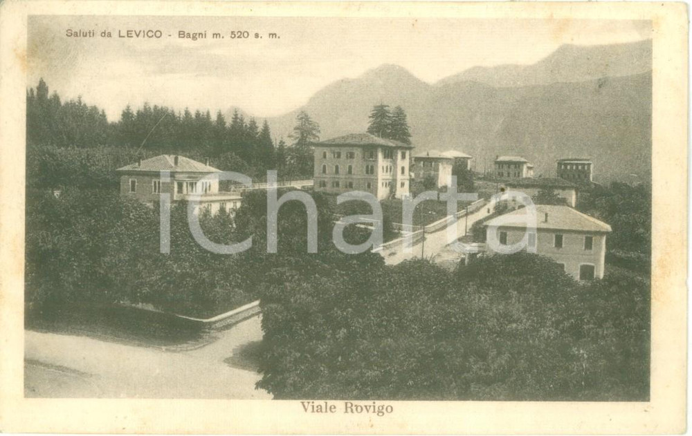 Cartolina originale da collezione 1928 LEVICO TERME TN Veduta aerea di Viale ROVIGO Cartolina FP VG 1