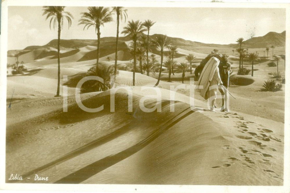Cartolina originale da collezione 1949 LIBIA Beduino e cammello tra le dune Cartolina postale FP VG 1
