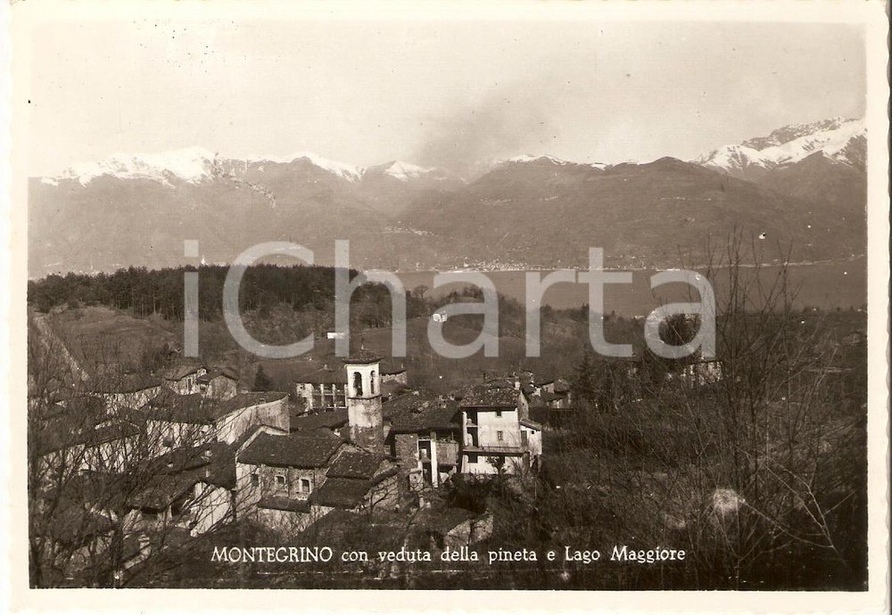 Cartolina originale da collezione 1957 MONTEGRINO VALTRAVAGLIA VA Pineta e Lago Maggiore Cartolina FG VG 1