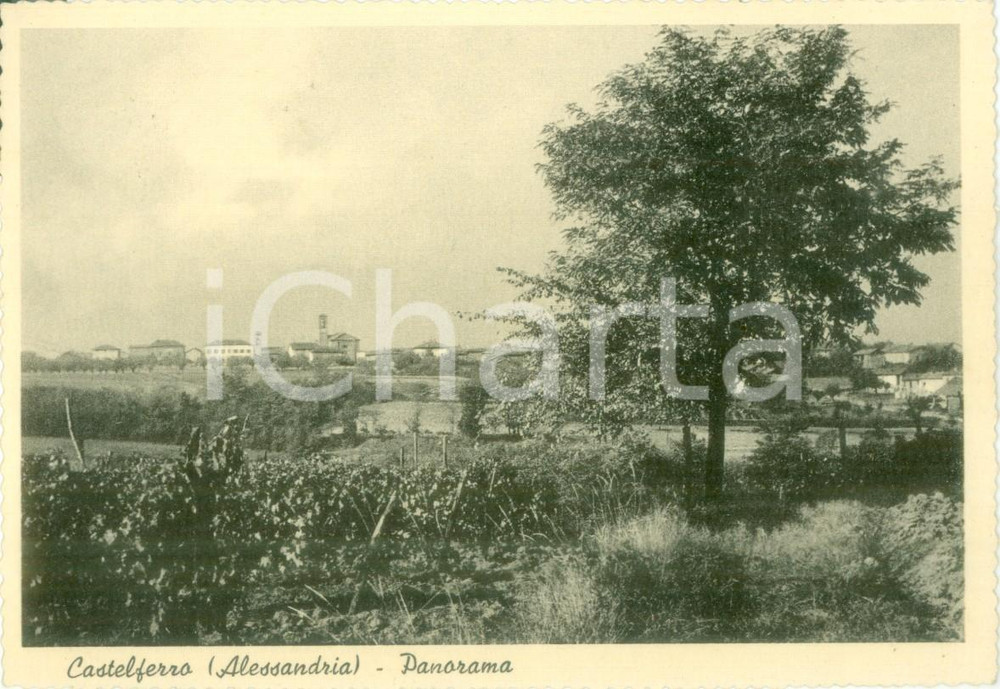 Cartolina originale da collezione 1962 PREDOSA AL Panorama di CASTELFERRO dai campi Cartolina postale FG VG 1