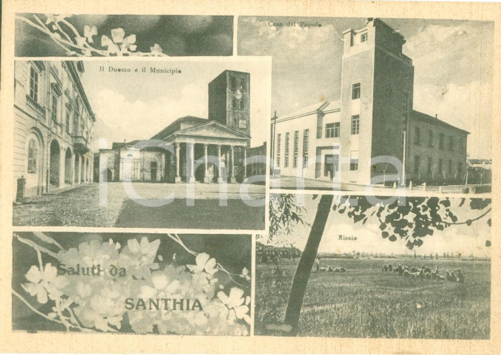 Cartolina originale da collezione 1955 ca SANTHIA  VC Vedutine con Casa del Popolo e risaia Cartolina FG NV 1