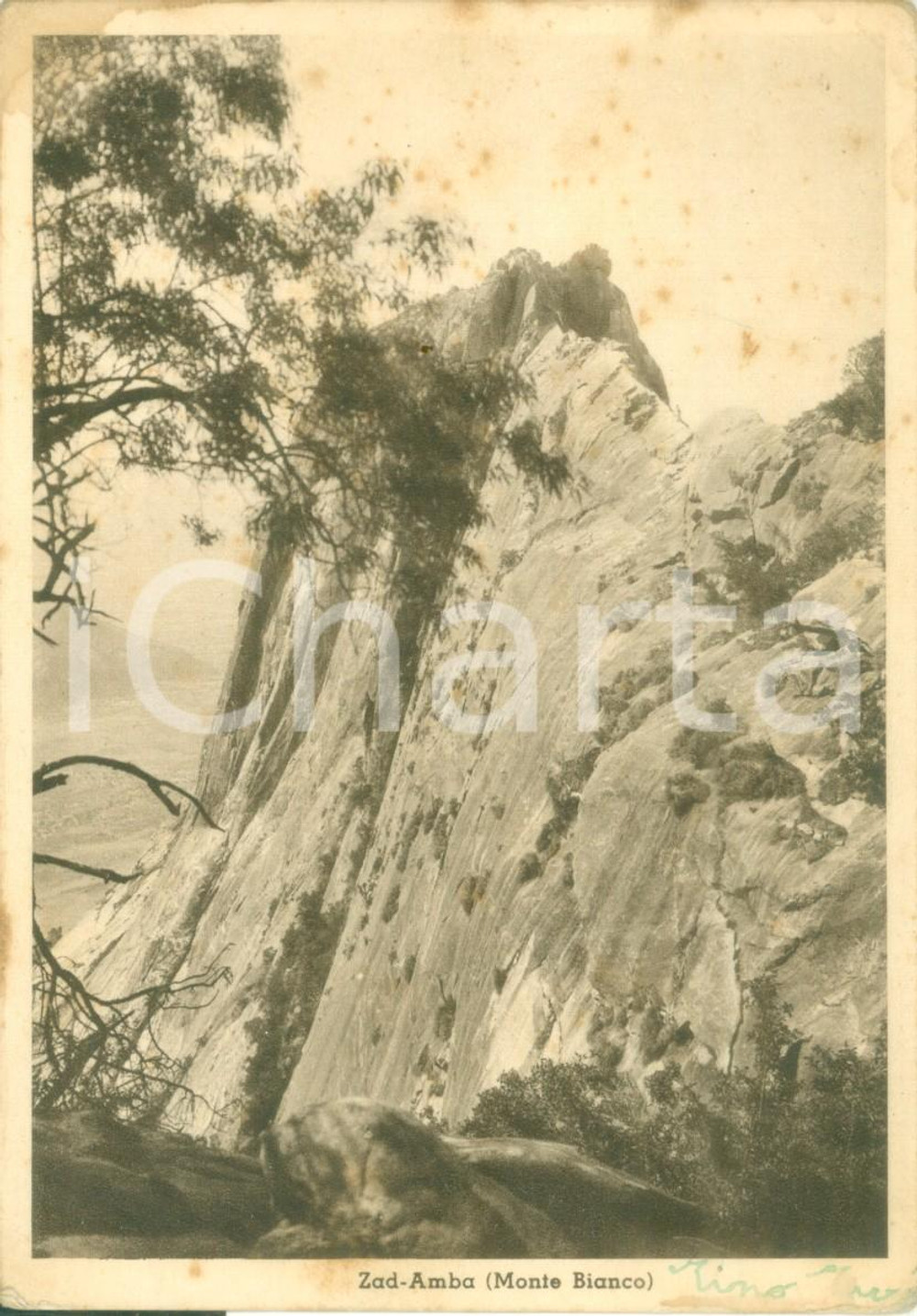 Cartolina originale da collezione 1940 ca ETIOPIA AOI Veduta del Monte ZAD AMBA Cartolina FG NV 1