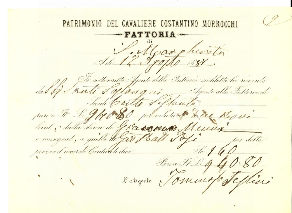 Documento originale, autentico 1881 Fattoria di S. MARGHERITA FI Costantino MORROCCHI  Ricevuta di bestiami 1