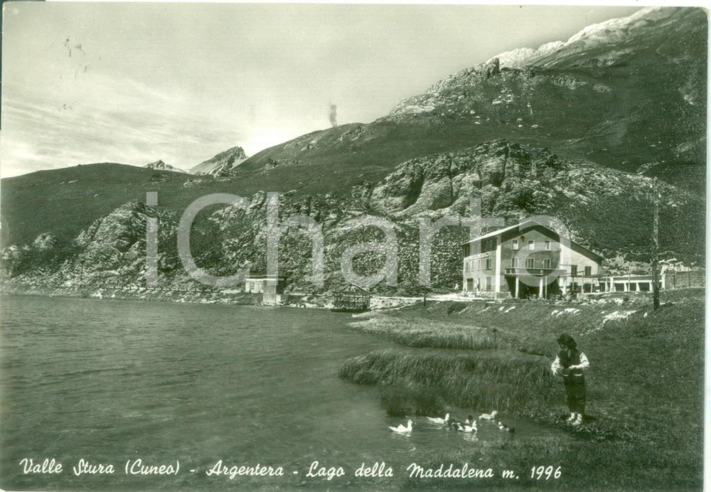 Cartolina originale da collezione 1955 ARGENTERA CN bambina con anatre al Lago della MADDALENA Cartolina FG VG 1