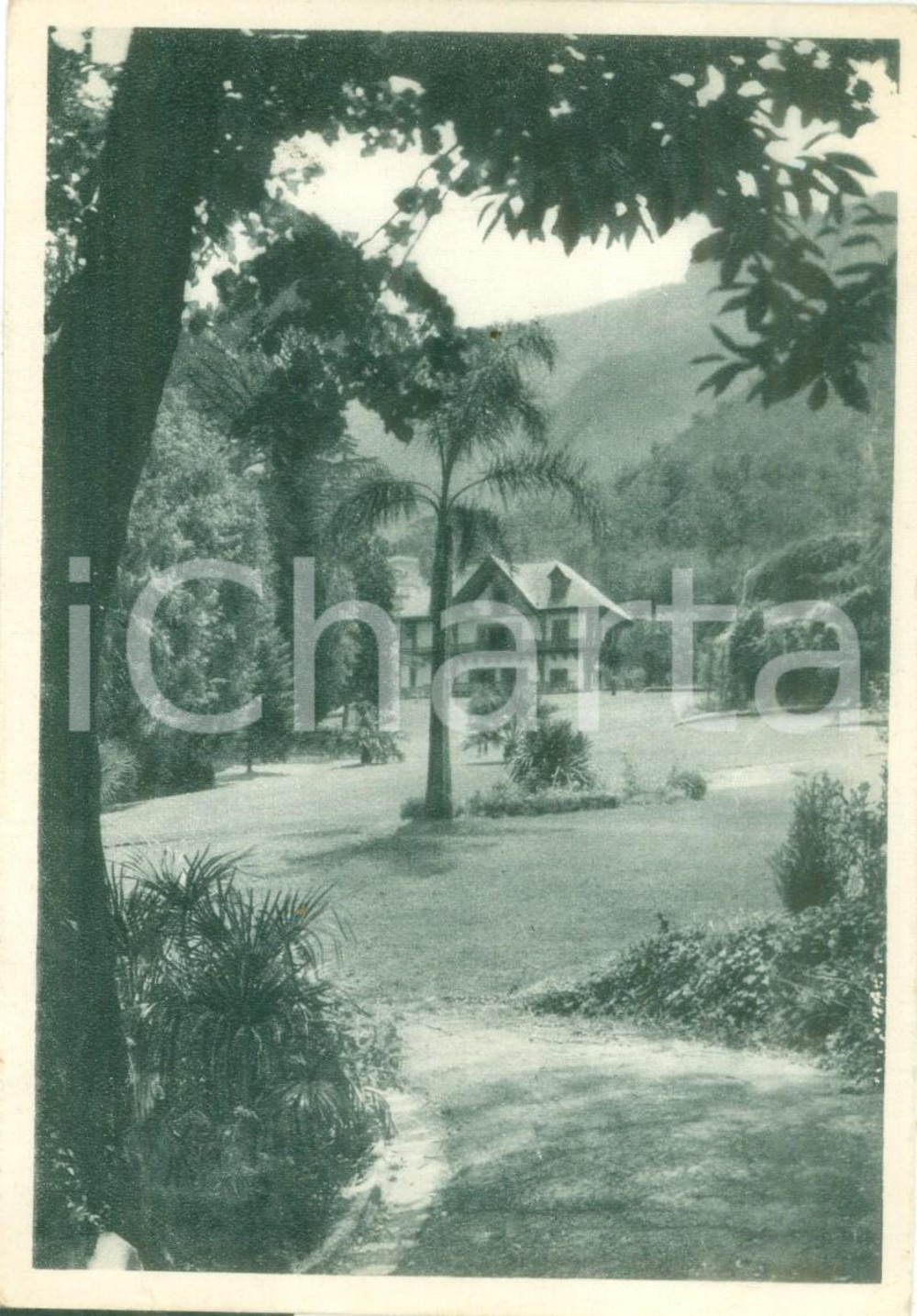1956 CASTELLAMMARE DI STABIA (NA) Veduta di QUISISANA *Cartolina FG VG