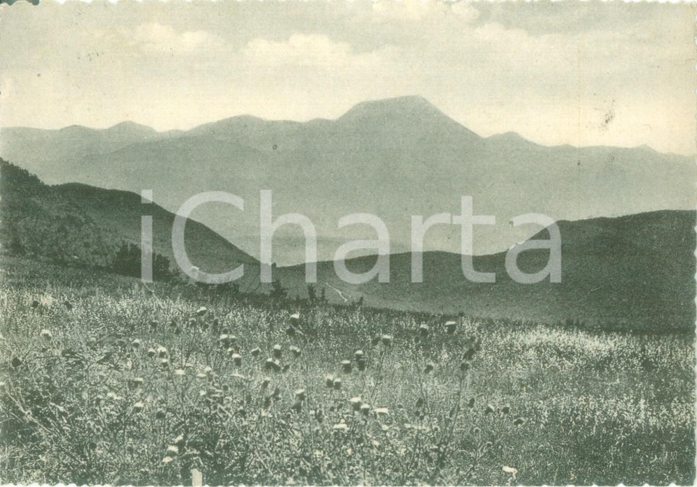 Cartolina originale da collezione 1961 CINGOLI MC Veduta panoramica con Monte SAN VICINO Cartolina postale FG VG 1