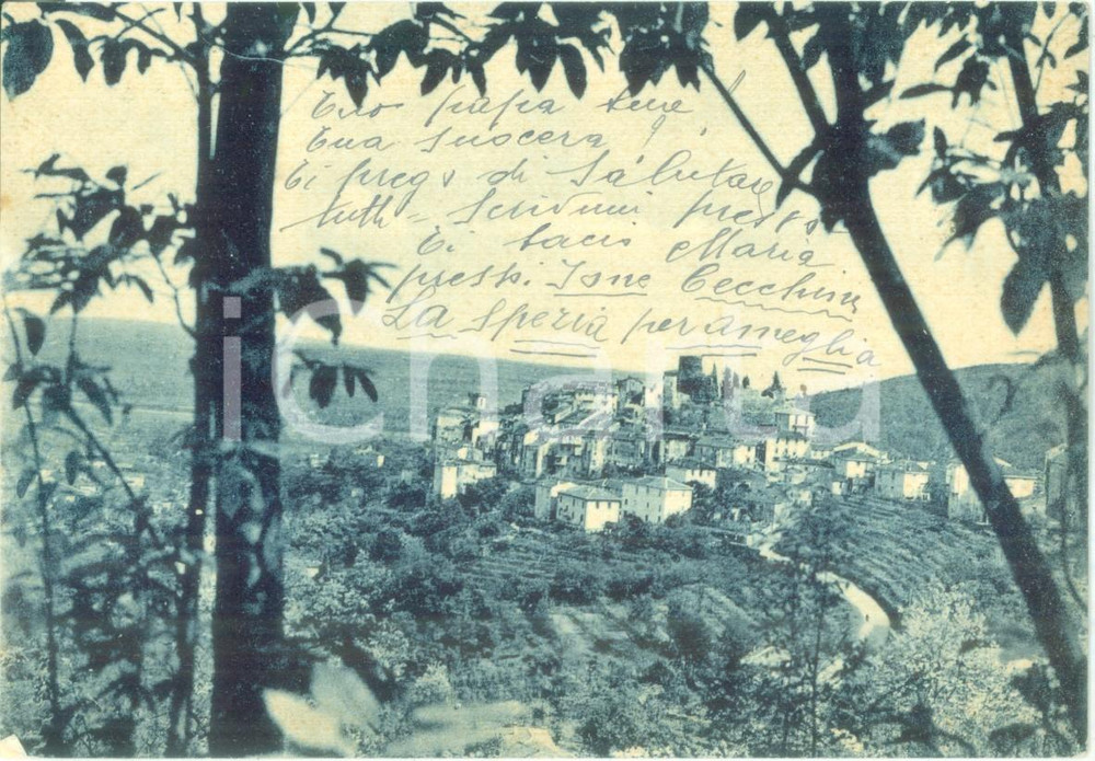 Cartolina originale da collezione 1956 AMEGLIA SP Veduta panoramica dal colle Cartolina FG VG 1