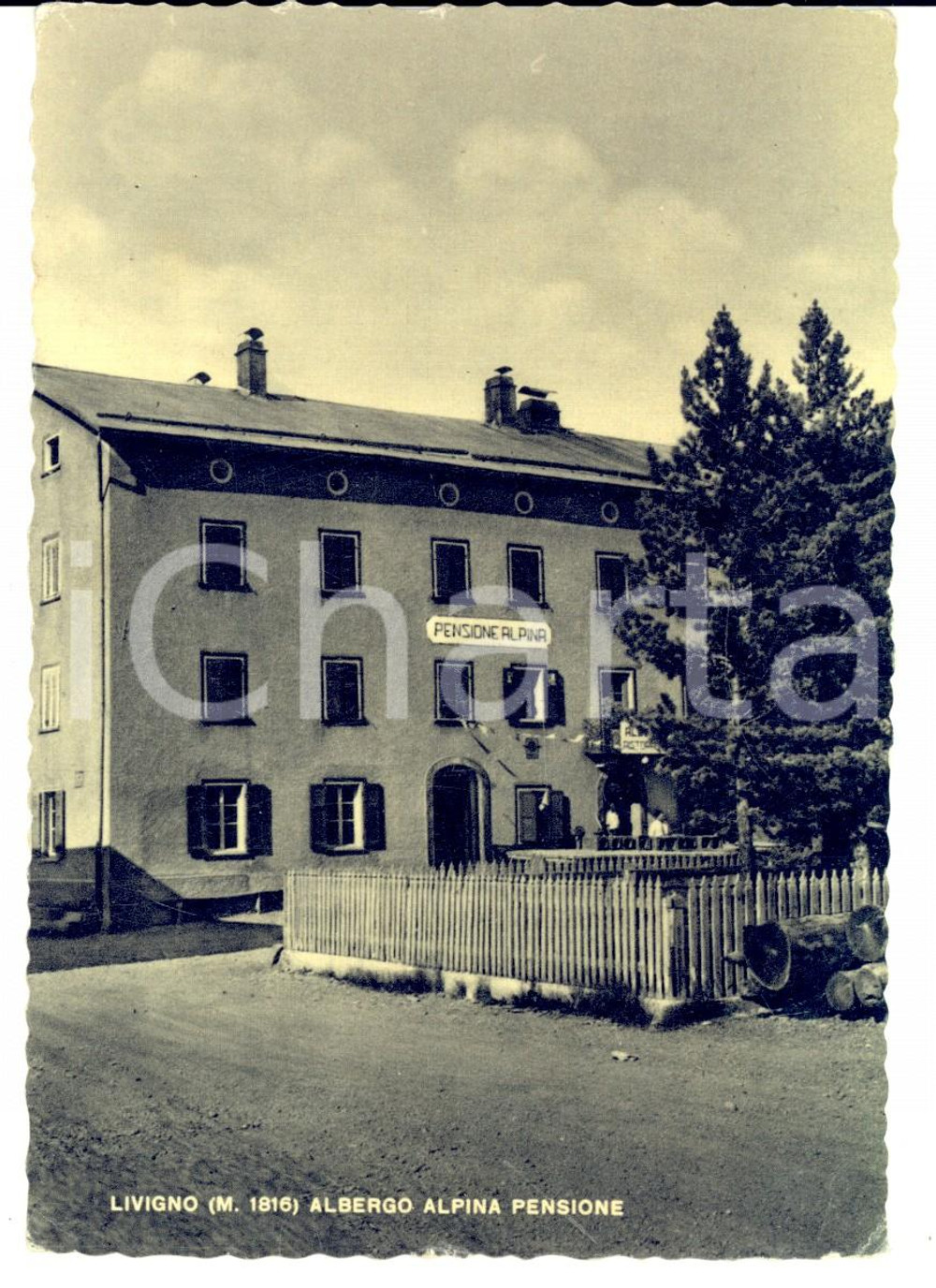 Cartolina originale da collezione 1956 LIVIGNO SO Albergo Alpina Pensione Cartolina VINTAGE FG VG 1