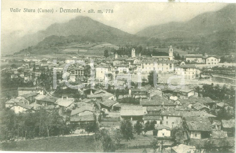 Cartolina originale da collezione 1931 DEMONTE CN Panorama del paese in Valle STURA Cartolina FP VG 1