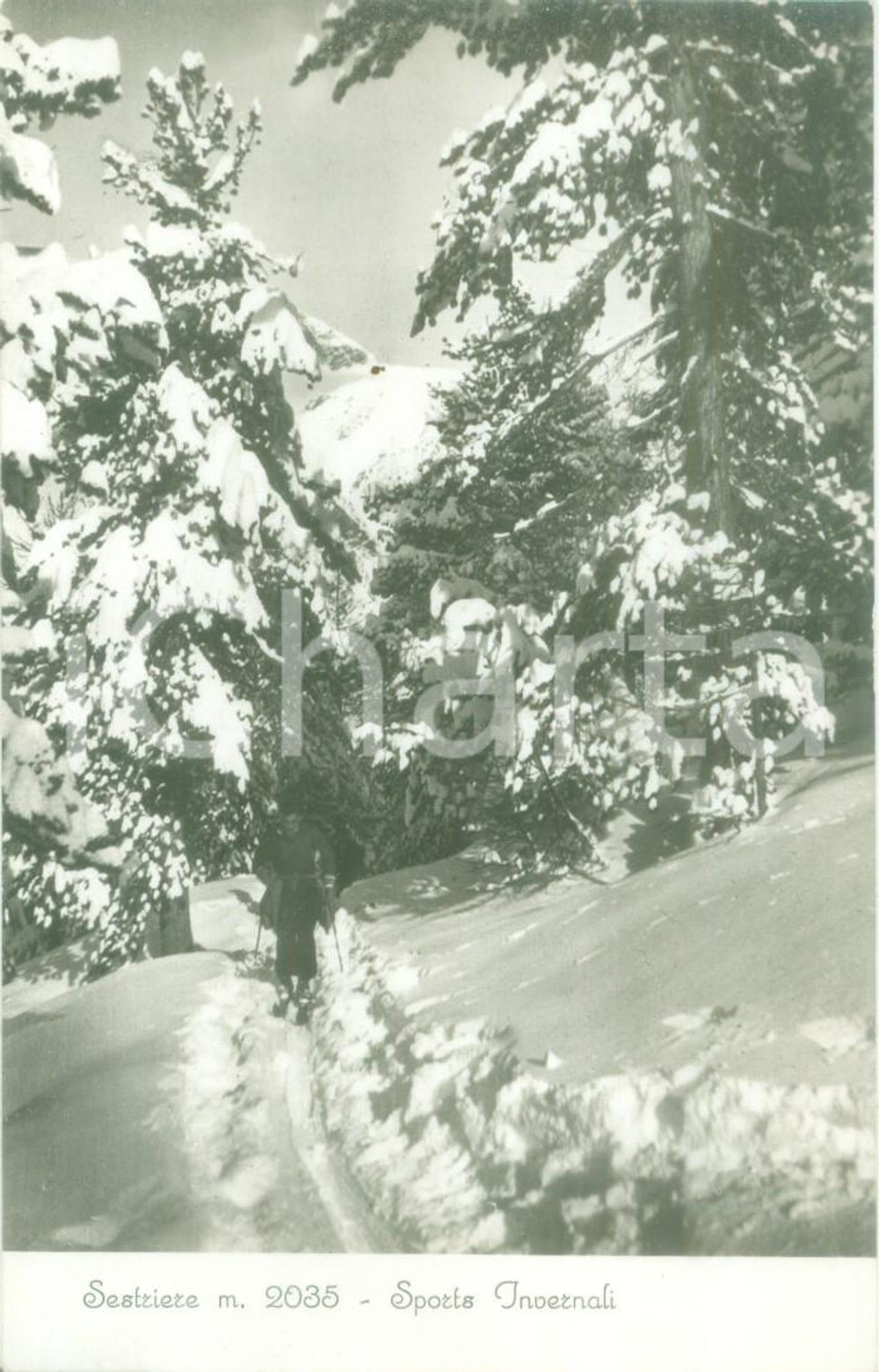 Cartolina originale da collezione 1935 SESTRIERE TO Sciatore durante gli sport invernali Cartolina FP NV 1