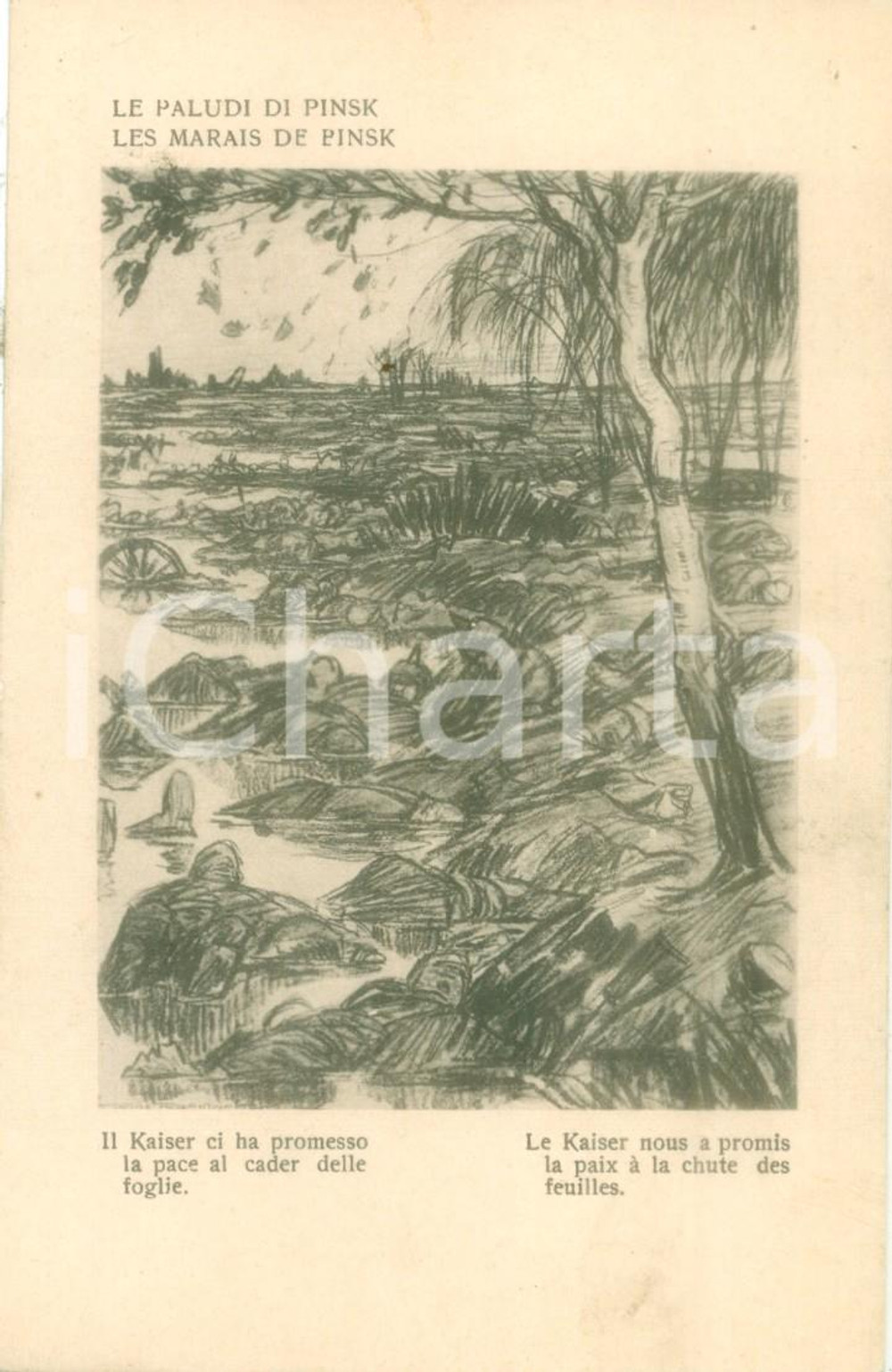 Cartolina originale da collezione 1917 PROPAGANDA WW1 Le paludi di PINSK Cartolina ILLUSTRATA FP NV 1