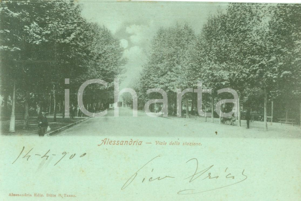 Cartolina originale da collezione 1900 ALESSANDRIA Scorcio del Viale della stazione Cartolina FP VG 1