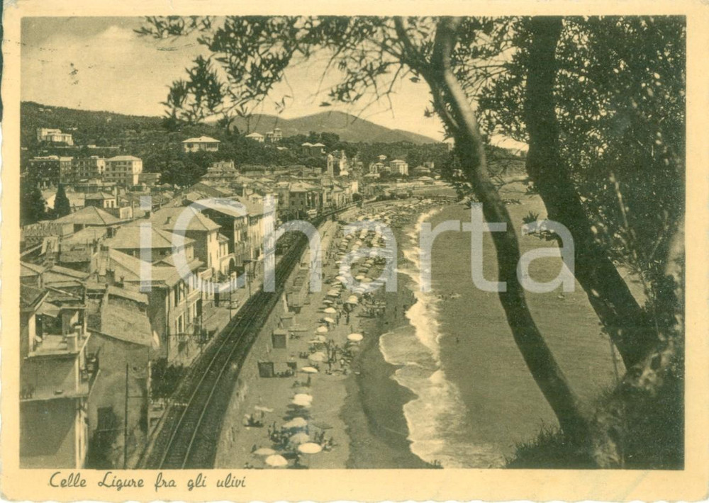 Cartolina originale da collezione 1954 CELLE LIGURE SV Panorama della spiaggia dagli ulivi Cartolina FG VG 1