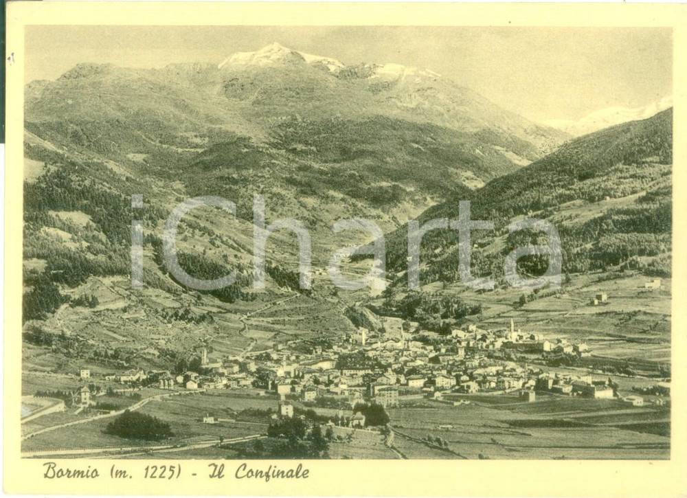 Cartolina originale da collezione 1956 BORMIO SO Veduta panoramica dal CONFINALE Cartolina FG VG 1