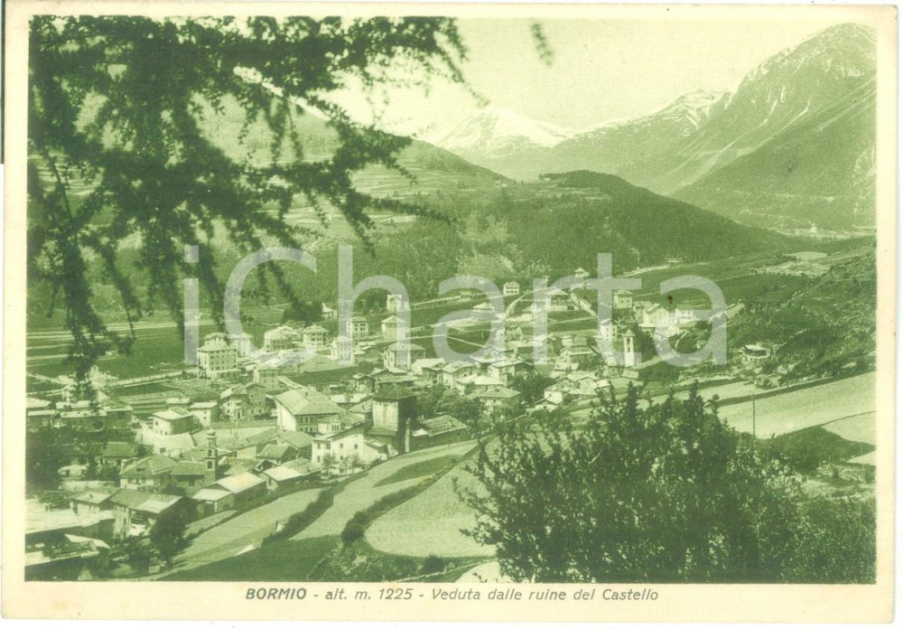 Cartolina originale da collezione 1942 BORMIO SO Veduta dalle ruine del Castello Cartolina FG VG 1