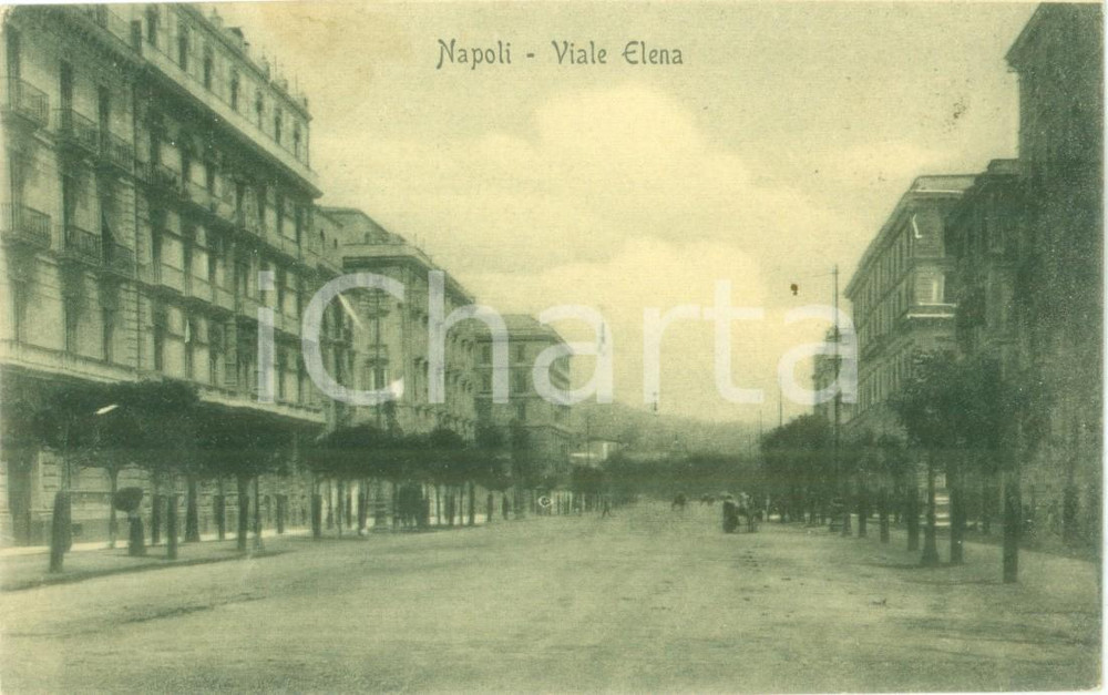 Cartolina originale da collezione 1910 NAPOLI Veduta panoramica di Viale Elena Cartolina postale FP VG 1