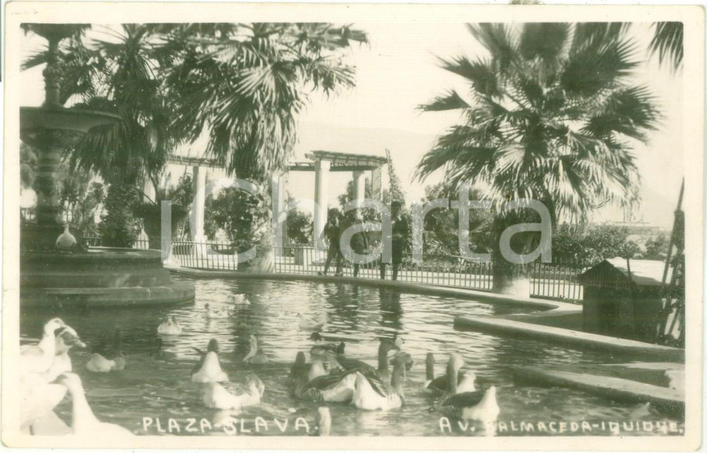Cartolina originale da collezione 1937 IQUIQUE CHILE Anatre al laghetto in Plaza SLAVA Cartolina postale FP NV 1