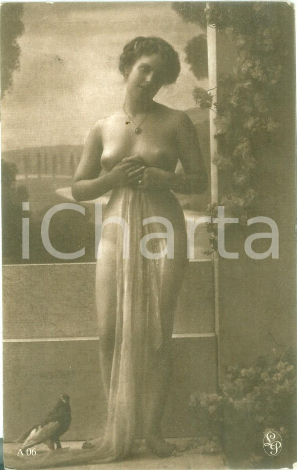 Cartolina originale da collezione 1930 ca EROTICA Ragazza nuda con velo e piccione Cartolina postale FP NV 1