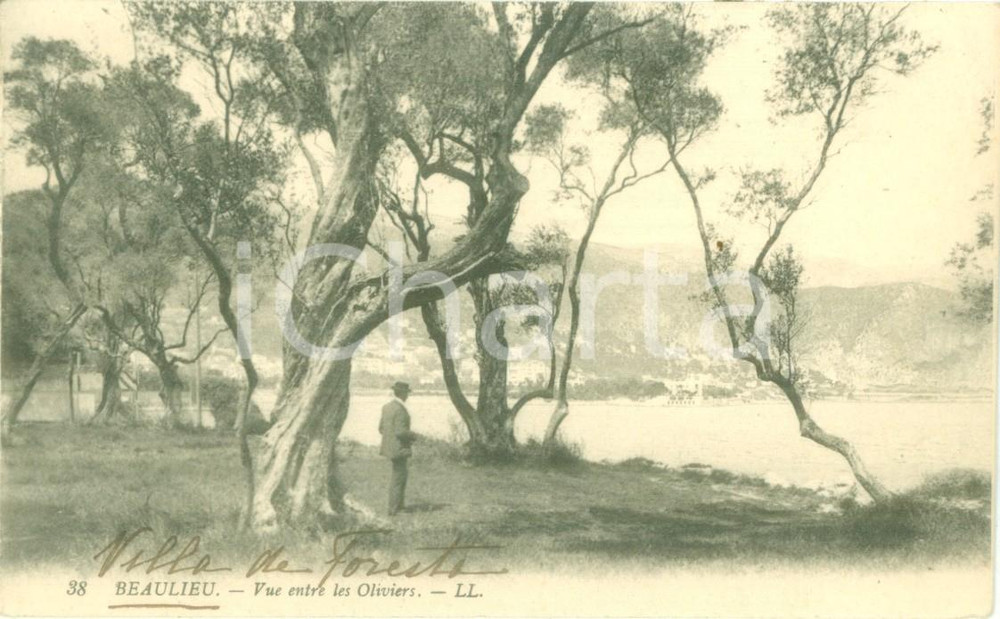 Cartolina originale da collezione 1911 BEAULIEUSURMER FRANCE Panorama dagli ulivi Cartolina ANIMATA FP VG 1