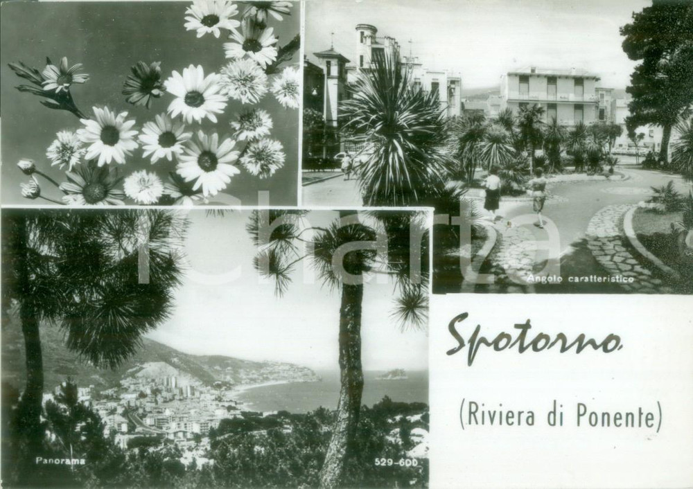 Cartolina originale da collezione 1971 SPOTORNO SV Vedutine del centro e del golfo Cartolina postale FG VG 1