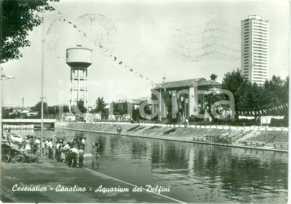 Cartolina originale da collezione 1961 CESENATICO FC L Aquarium dei delfini al CANALINO Cartolina FG VG 1