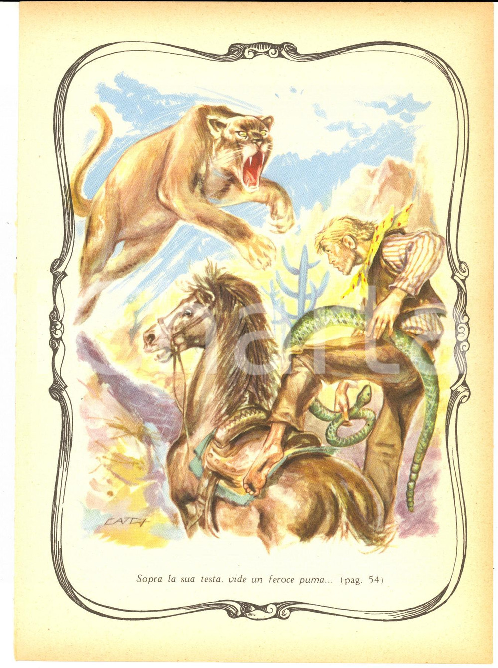 Stampa, bozzetto originale 1956 AVVENTURE DI PECOS BILL Un feroce puma Stampa 17x23 ill. CATTANEO 1