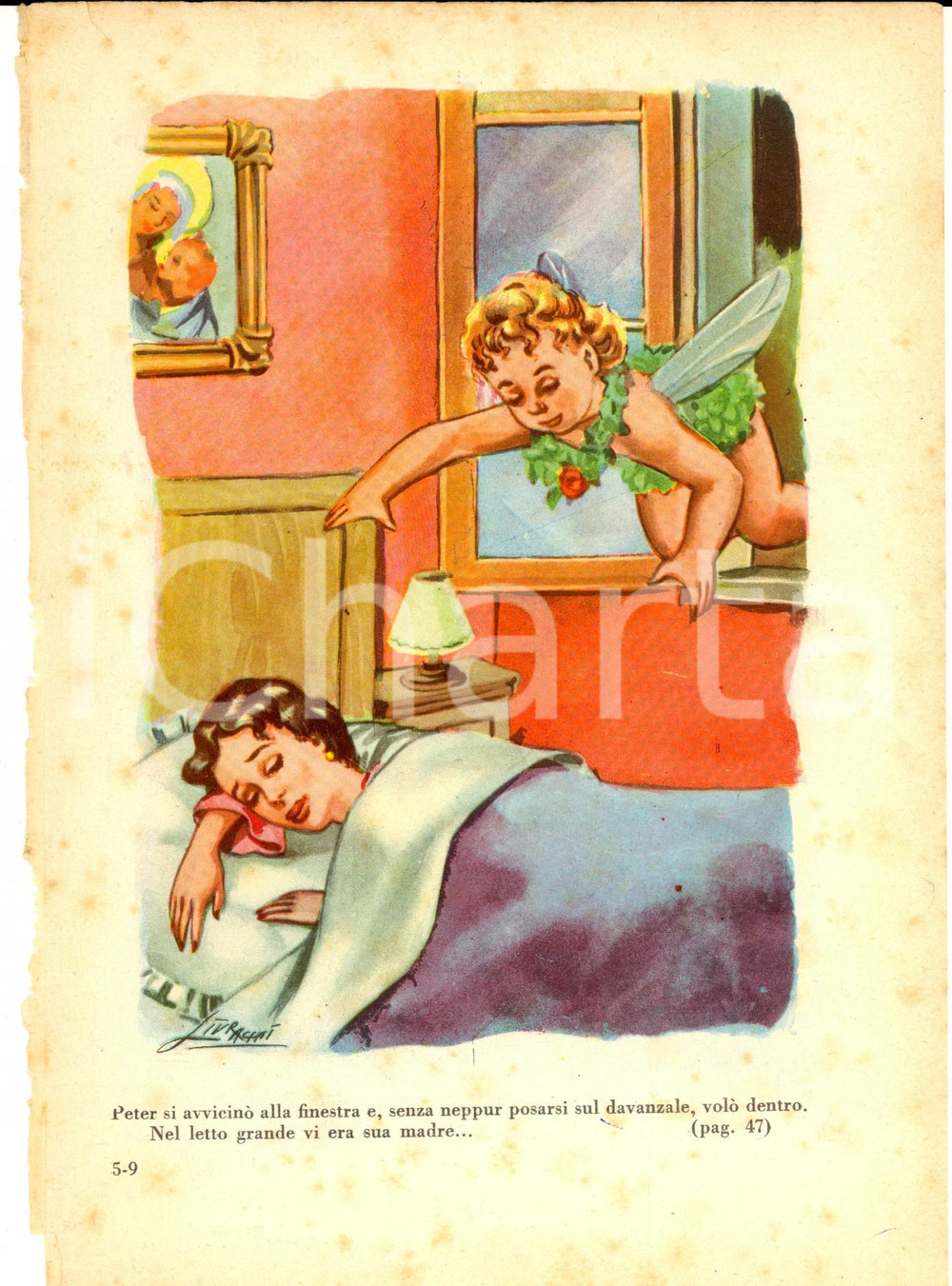 Stampa, bozzetto originale 1951 LA STORIA DI PETER PAN La madre addormentata Stampa 17x23 ill. LIVRAGHI 1