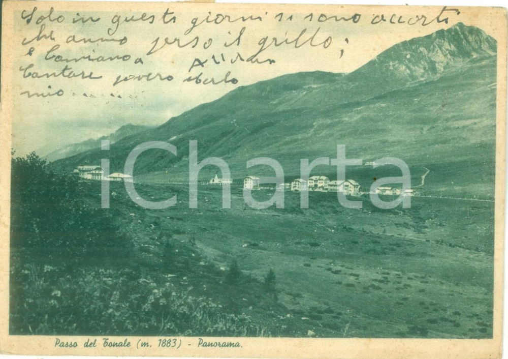 Cartolina originale da collezione 1959 PASSO DEL TONALE TN Panorama generale Cartolina postale FG VG 1