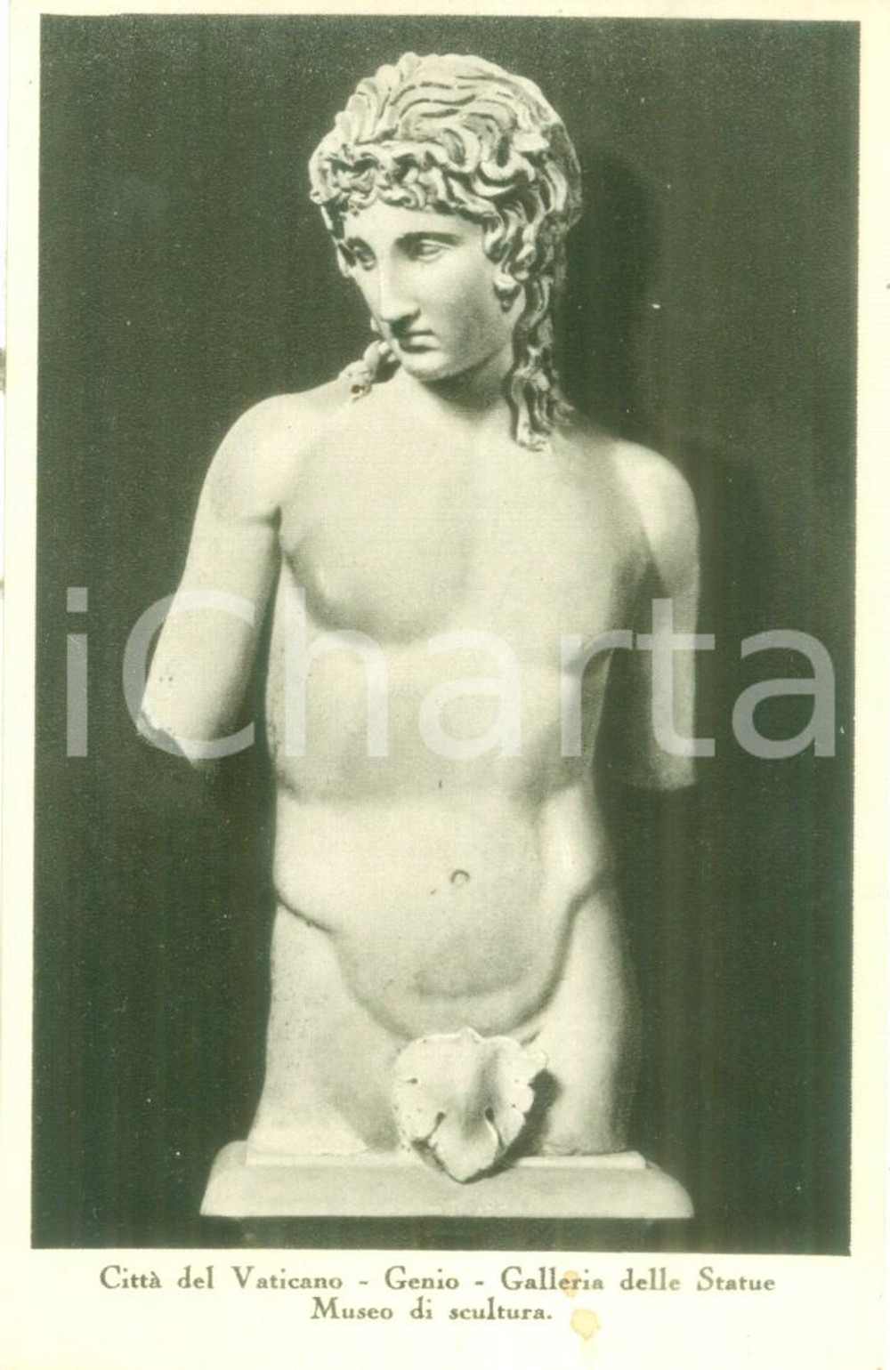 Cartolina originale da collezione 1935 ca CITTA  DEL VATICANO Genio galleria delle Statue Cartolina FP NV 1