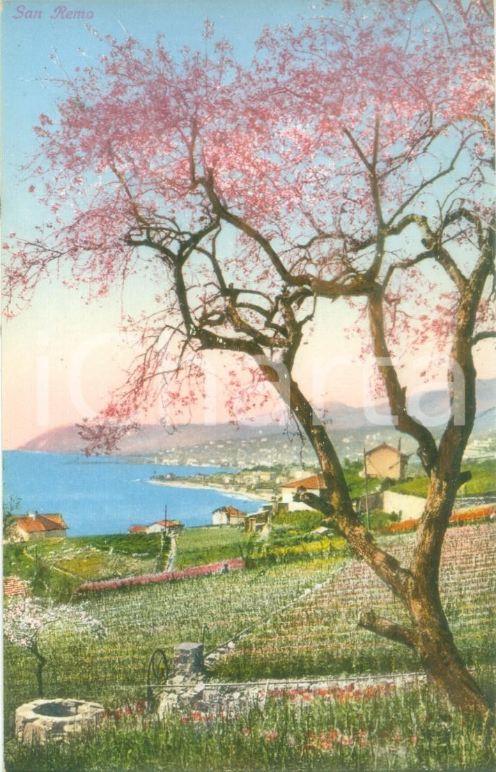 Cartolina originale da collezione 1935 ca SANREMO IM Panorama con albero di ciliegio Cartolina FP NV 1