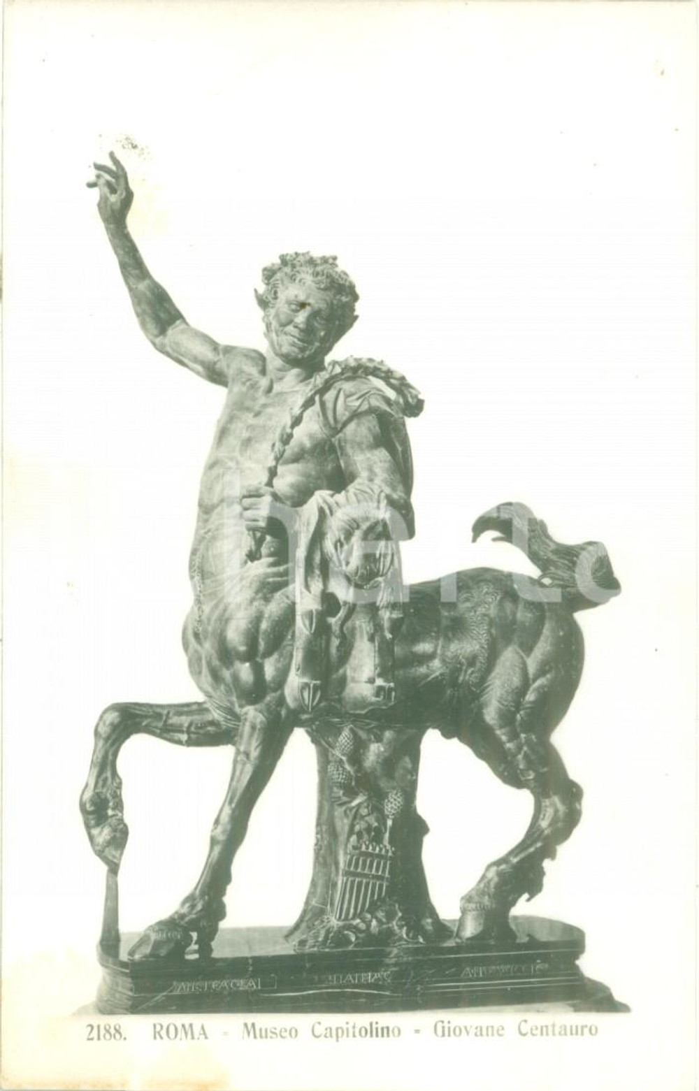 Cartolina originale da collezione 1935 ca ROMA Statua di giovane centauro al Museo Capitolino Cartolina FP NV 1