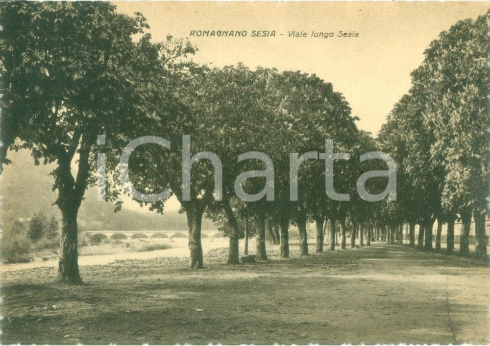 Cartolina originale da collezione 1940 ca ROMAGNANO SESIA NO Veduta di Via Lungo SESIA Cartolina FG NV 1