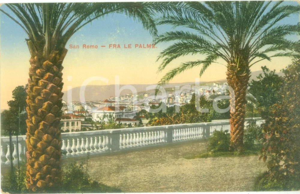 Cartolina originale da collezione 1935 ca SANREMO IM Panorama da una terrazza fra le palme Cartolina FP NV 1