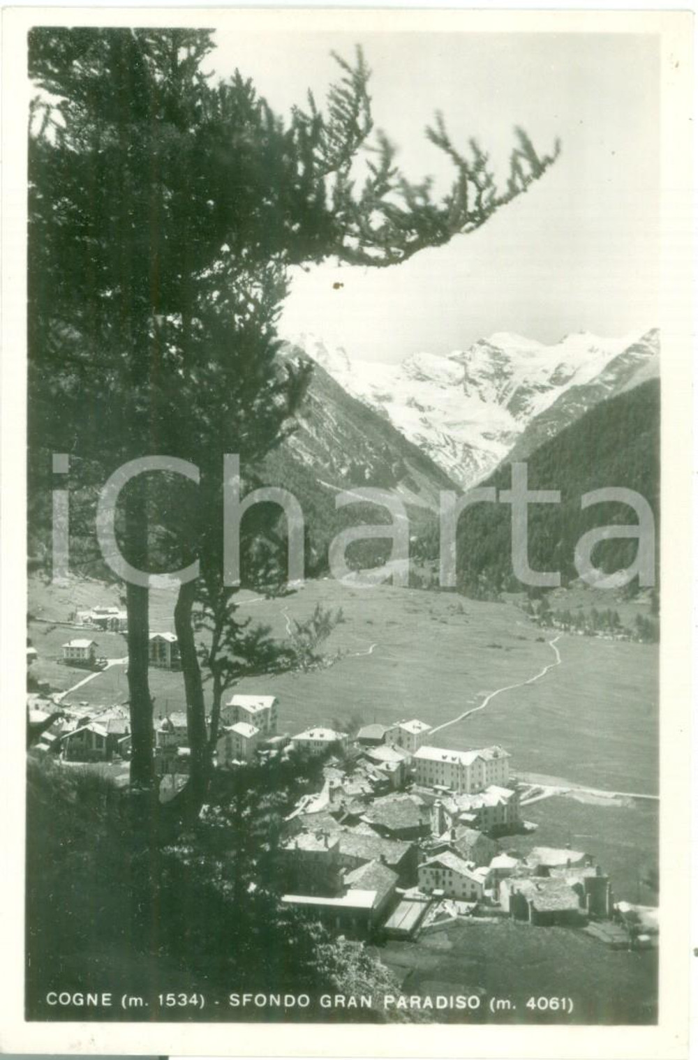 1949 COGNE (AO) Panorama con sfondo del Gran Paradiso Cartolina FP VG