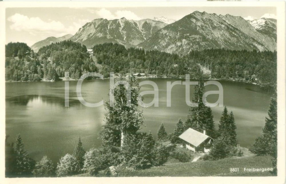 Cartolina originale da collezione 1954 FREIBERGSEE GERMANIA Panorama con il Waldhotel Cartolina FP VG 1